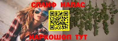 ешки Гагарин