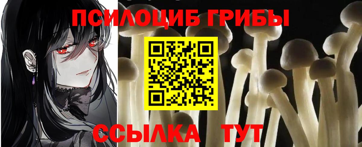 Псилоцибиновые грибы GOLDEN TEACHER Воронеж