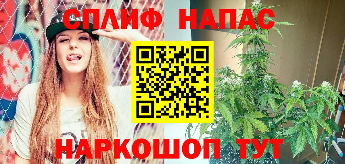 Каннабис план Воронеж
